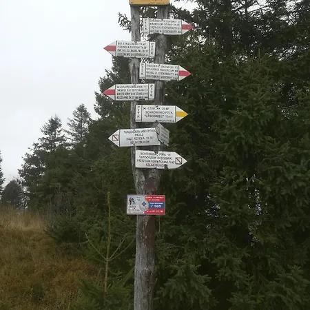 Letniskowe Pod Lasem Lodge Koziniec