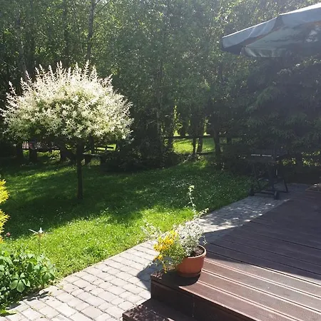 Letniskowe Pod Lasem Koziniec