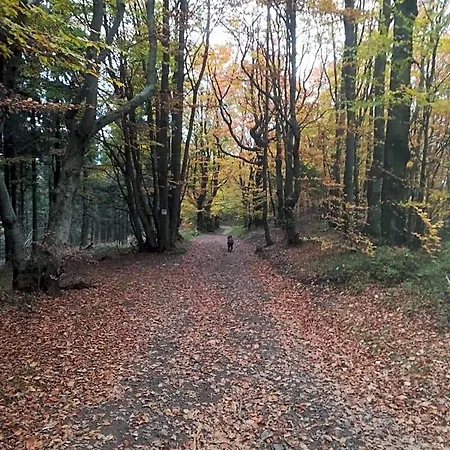 Letniskowe Pod Lasem Lodge Koziniec